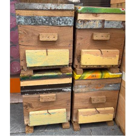 Ana Arı Kovanı - Ahşap - 2. el