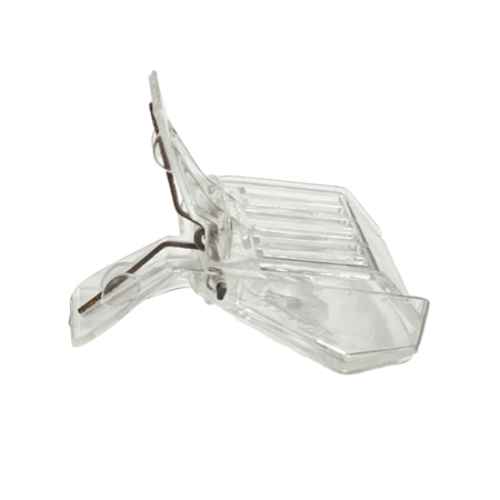 Ana Arı İşaretleme Tokası